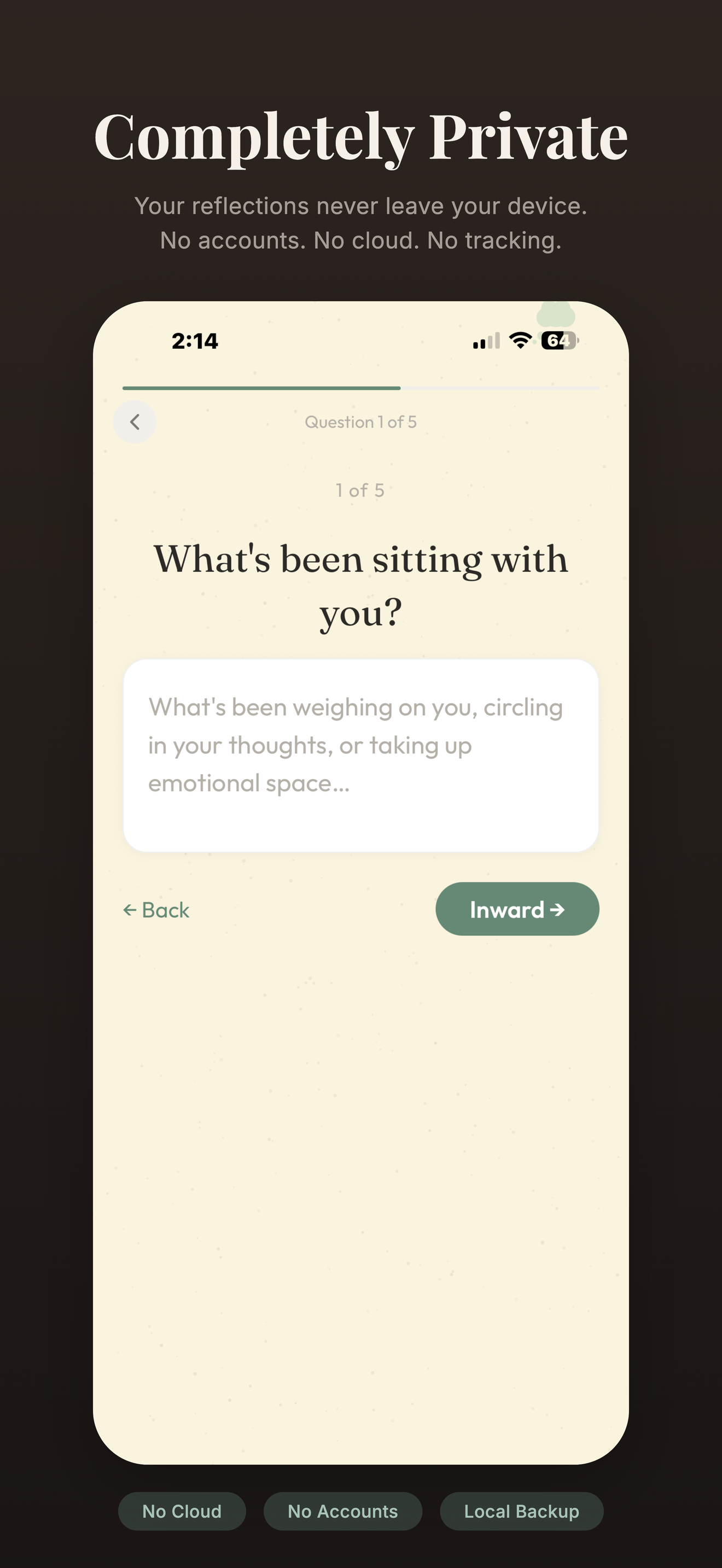 Reflect: capture insights privately
